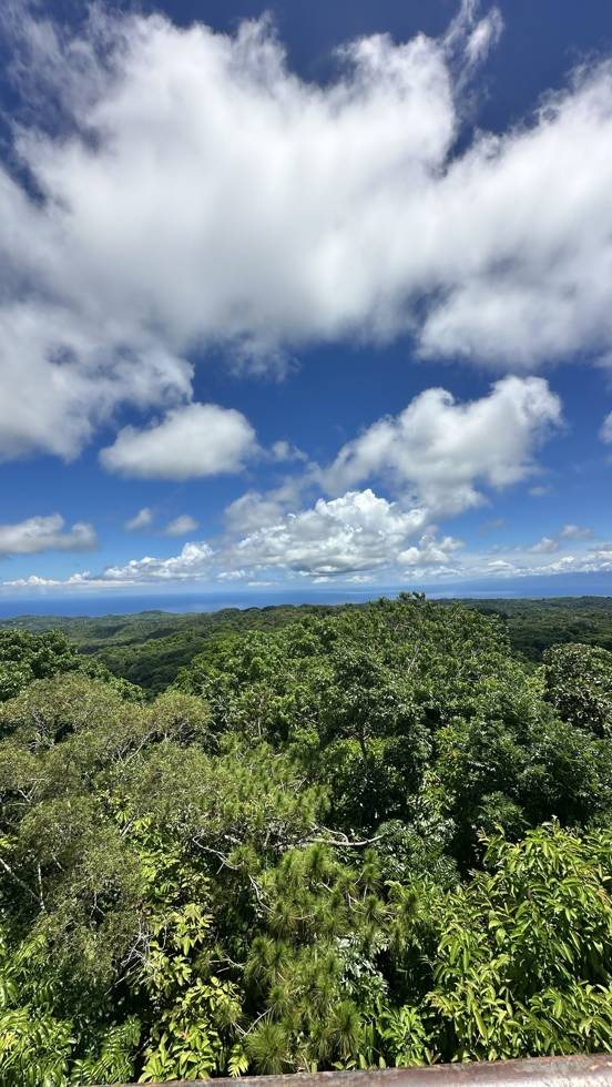 Vue sur la jungle et la mer à Siquijor